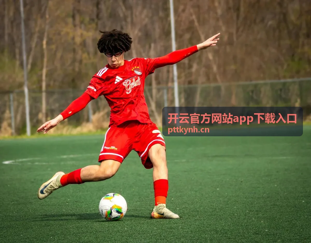 开云官方网站app下载入口鸿蒙客户端安装包封面