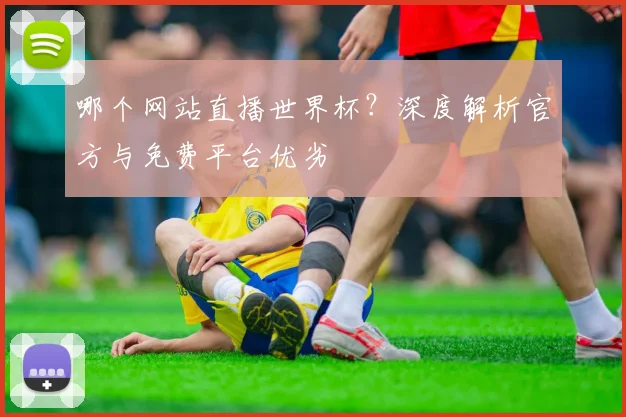 哪个网站直播世界杯？深度解析官方与免费平台优劣