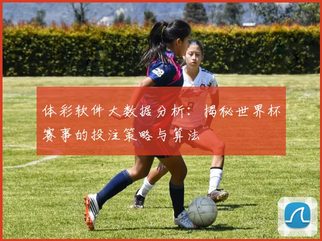 体彩软件大数据分析：揭秘世界杯赛事的投注策略与算法