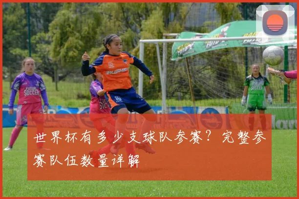 世界杯有多少支球队参赛？完整参赛队伍数量详解